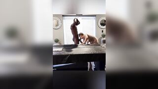 Milf Danikim Anal Inspection DrBlackjohnsonXXX(Cum On Asshole)