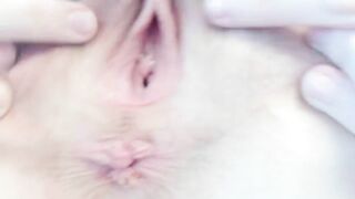 asshole and pussy close up gaping