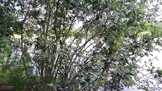 I give a guy a handjob on a bench, and make him cum all over his own clothes!